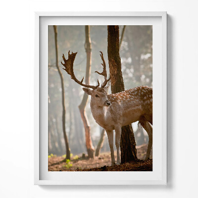 Obraz v rámu Jelen v záři vycházejícího slunce