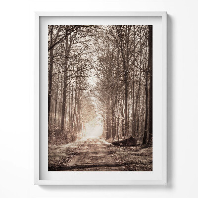 Obraz v rámu Lesní cesta v sépiových barvách