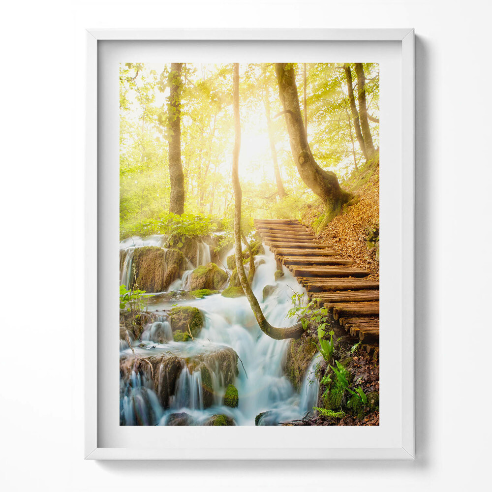 Obraz v rámu Potok a schody v lese