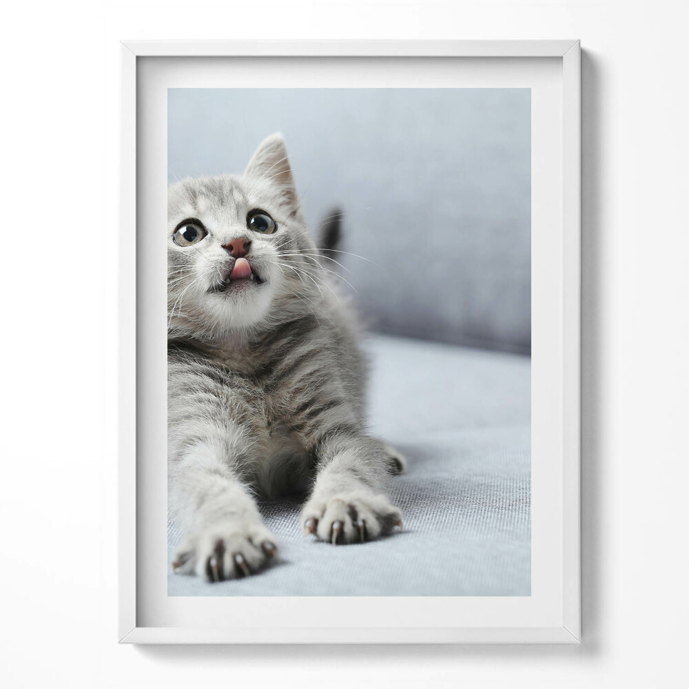 Obraz v rámu Rozkošné koťátko na pohovce
