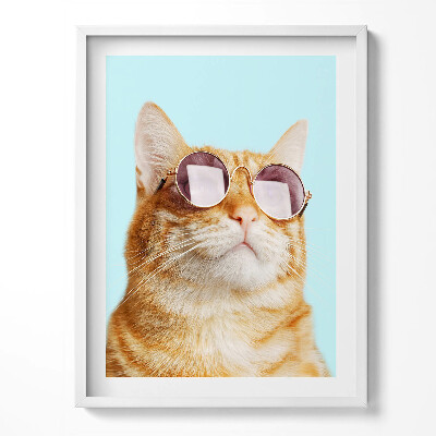 Obraz v rámu Legrační kočka s brýlemi