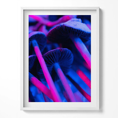 Obraz v rámu Kouzelné barevné houby