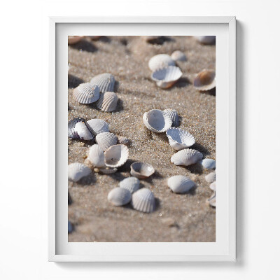Obraz v rámu Mušle na pláži