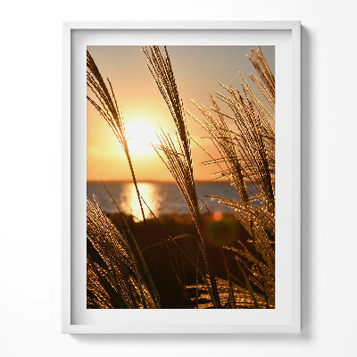 Obraz v rámu Pšenice ve Zlaté hodině