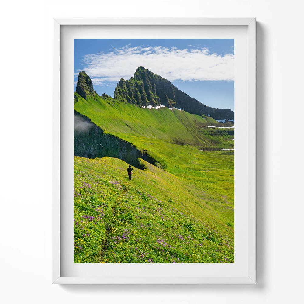 Obraz v rámu Islandská rezervace Hornstrandir