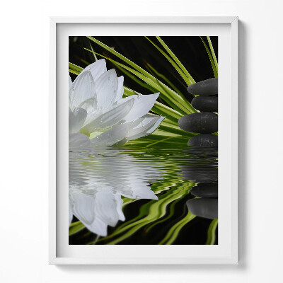 Obraz v rámu Leknín a listy