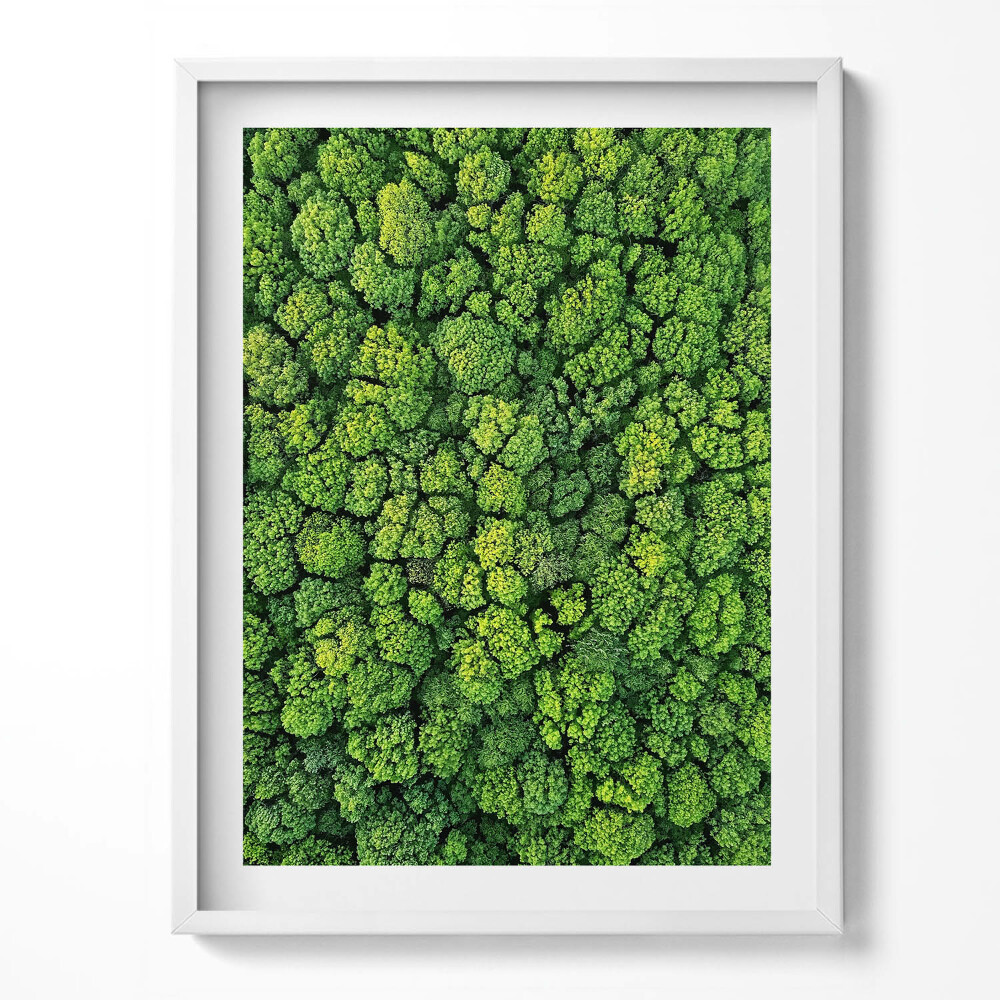 Obraz v rámu Les z ptačí perspektivy