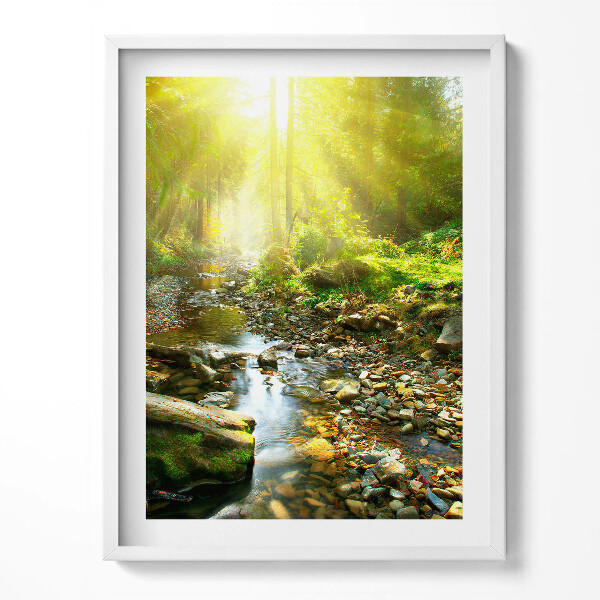 Obraz v rámu Lesní potok ve slunečním světle
