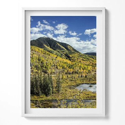 Obraz v rámu Krajina horské vegetace