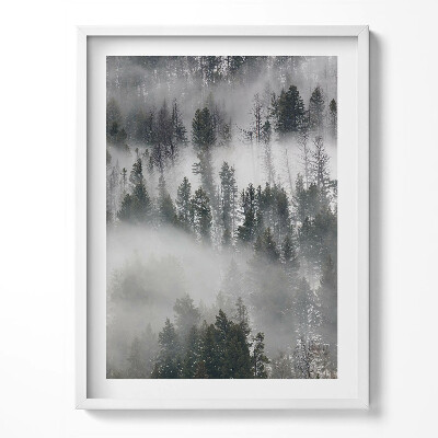 Obraz v rámu Zamlžená lesní krajina