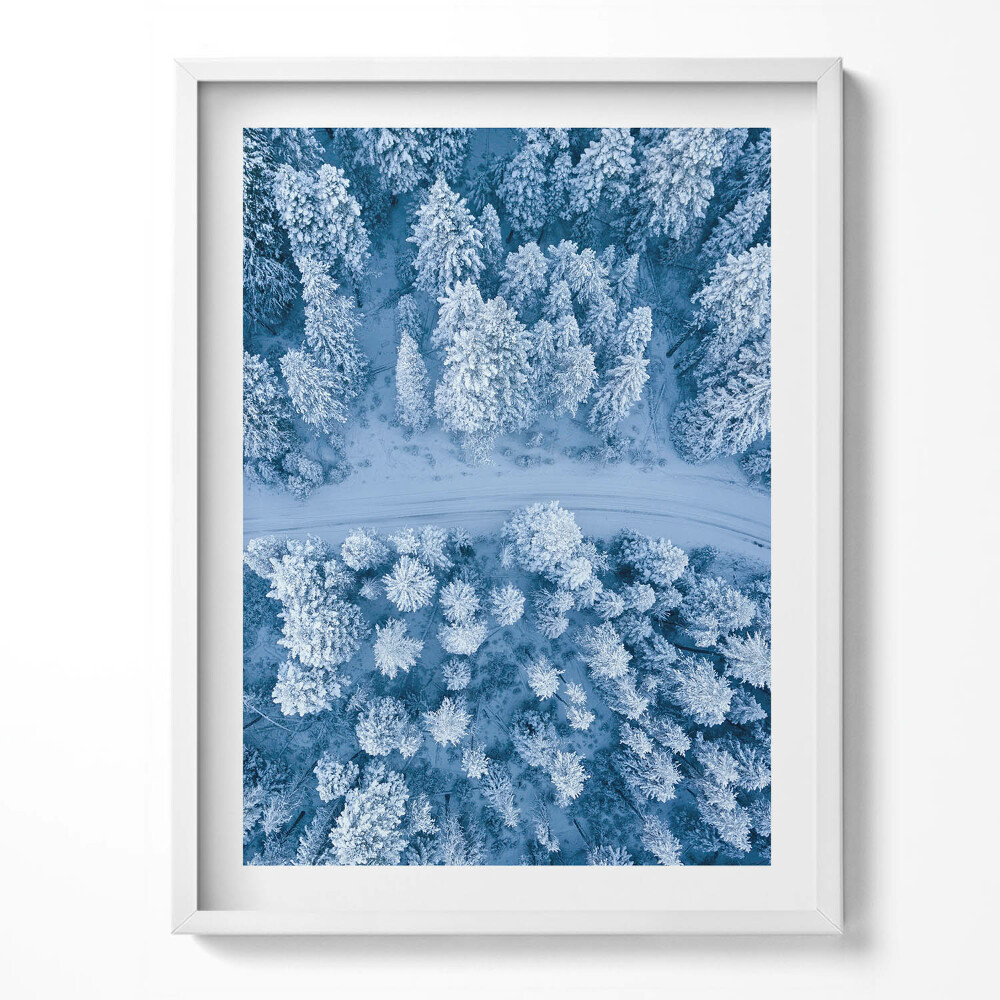 Obraz v rámu Les z ptačí perspektivy