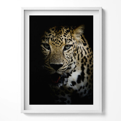 Obraz v rámu Divoká tygří kočka v černé barvě