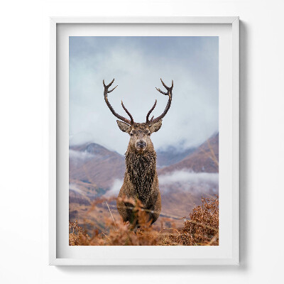 Obraz v rámu Jelen na horské mýtině