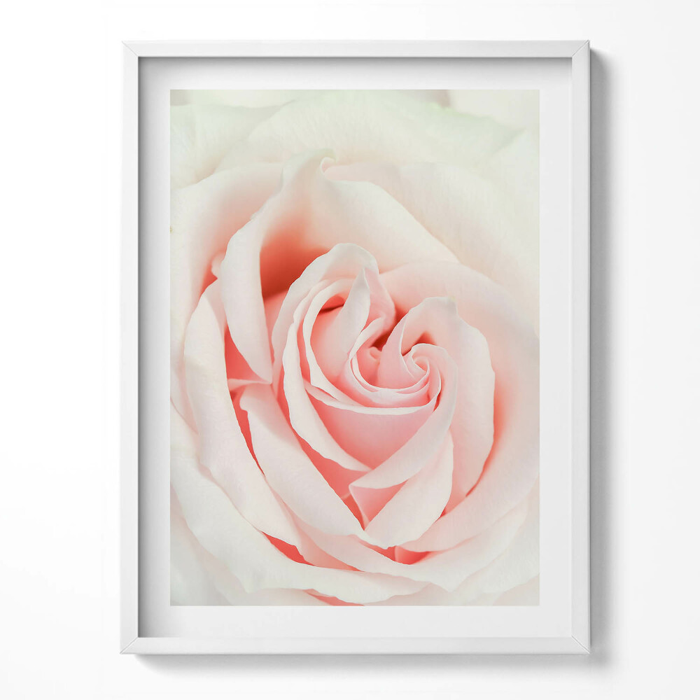 Obraz v rámu Detail růžových lístků