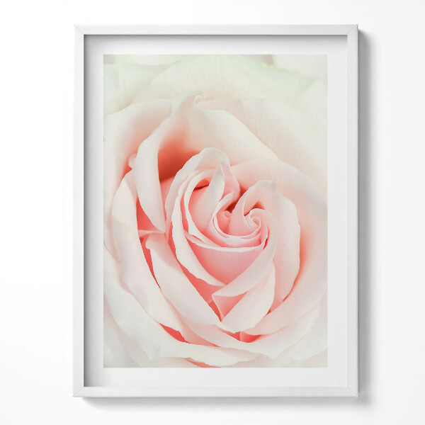 Obraz v rámu Detail růžových lístků