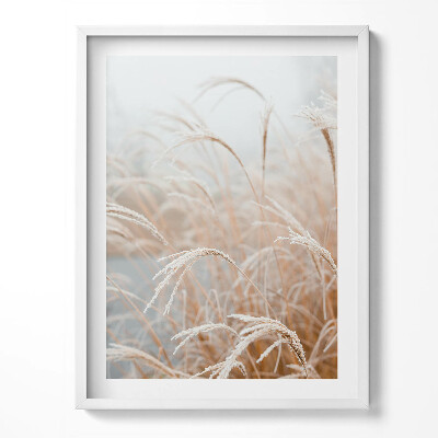 Obraz v rámu Jemné trávy v boho stylu