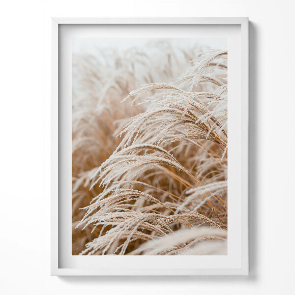Obraz v rámu Jemné trávy v boho stylu