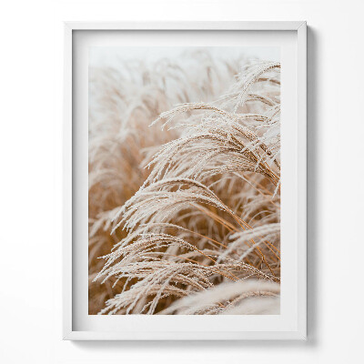 Obraz v rámu Jemné trávy v boho stylu