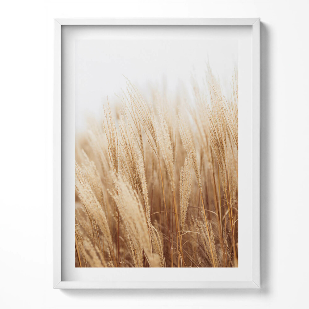 Obraz v rámu Krajina jemných boho trav