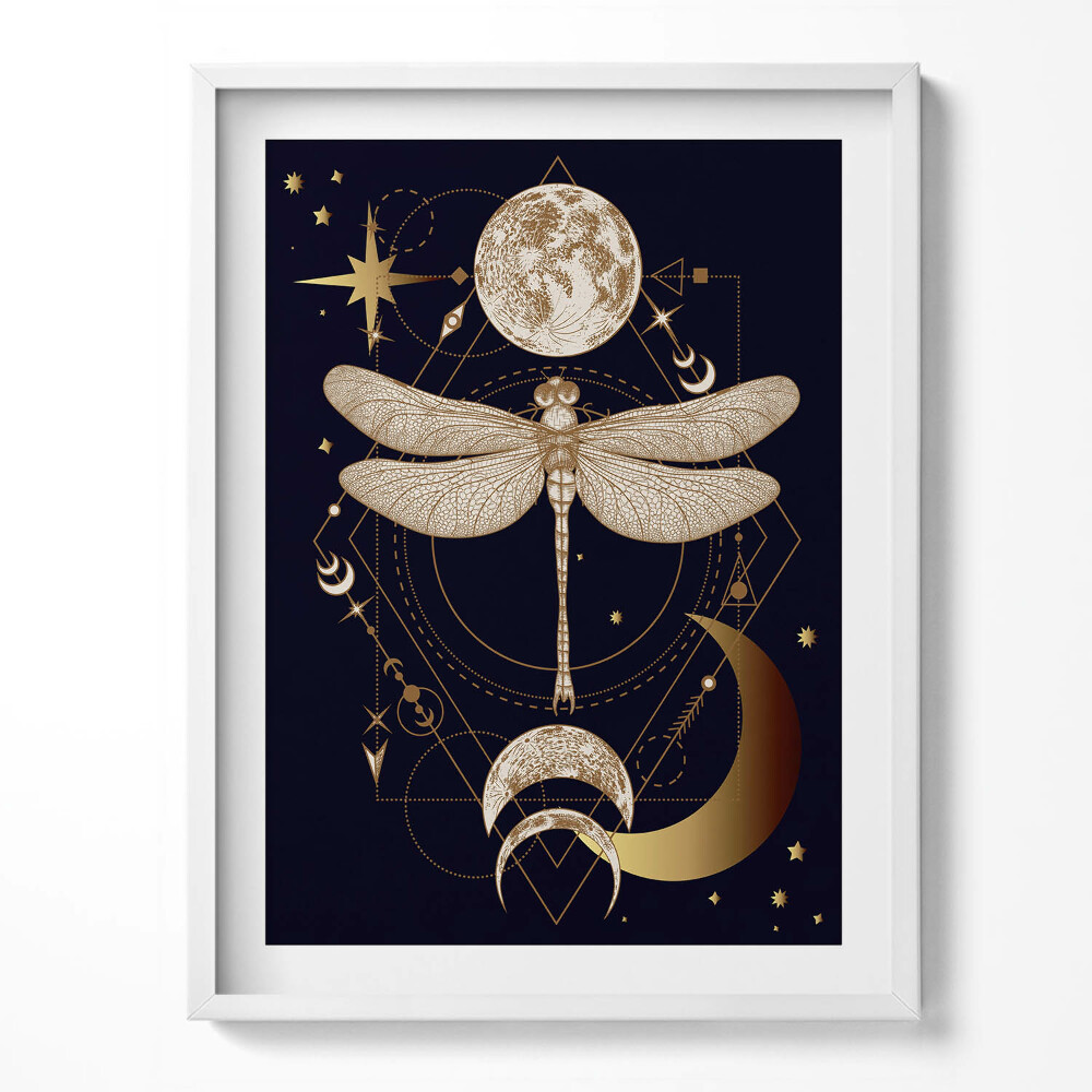 Obraz v rámu Magická kompozice prostoru a vážky