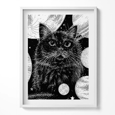 Obraz v rámu Kouzelná černá kočka a prostor