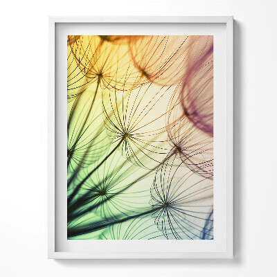 Obraz v rámu Jemný pyl pampelišky