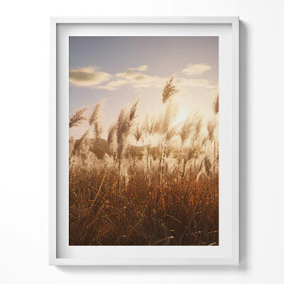 Obraz v rámu Romantický západ slunce nad trávou