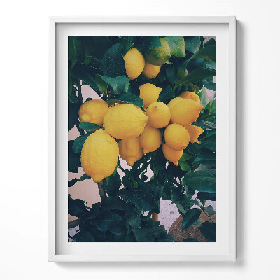 Obraz v rámu Zralé žluté citrony