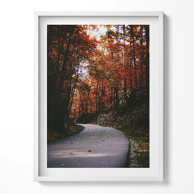 Obraz v rámu Prázdná cesta v podzimním lese