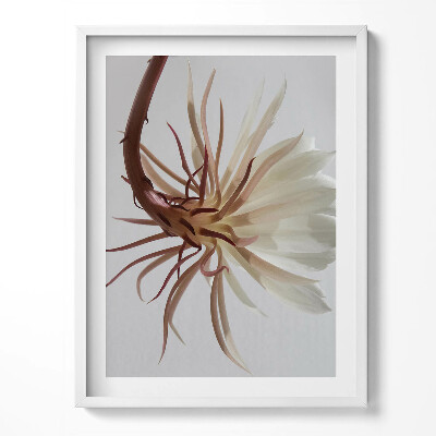 Obraz v rámu Jemná boho rostlina