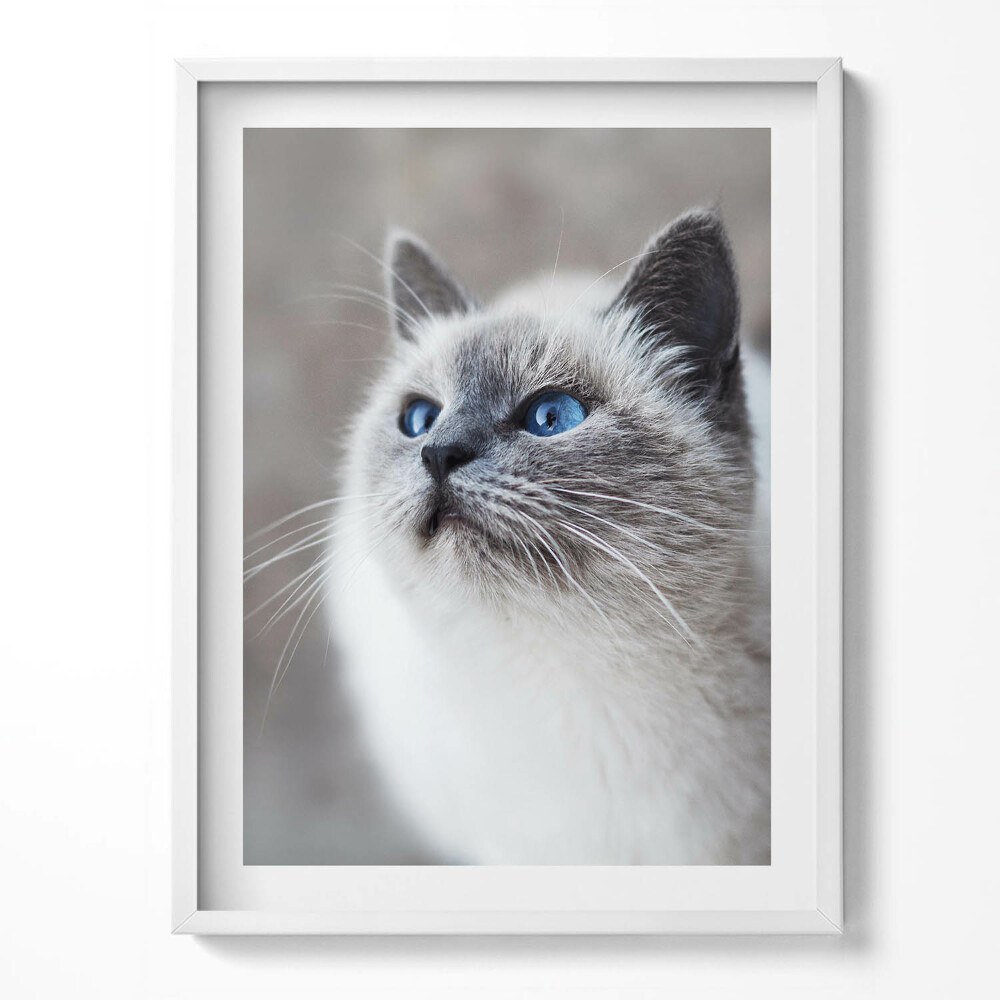 Obraz v rámu Klidná krajina zimního jezera