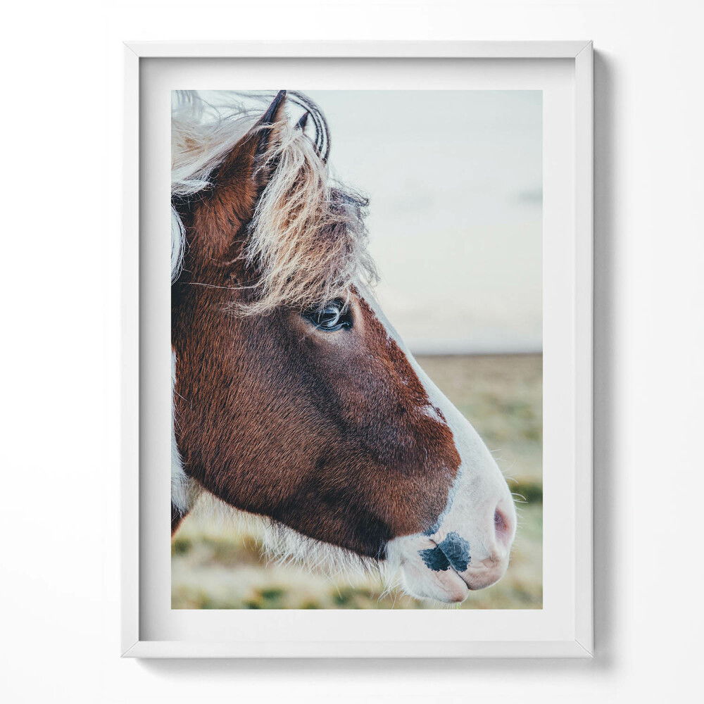 Obraz v rámu Detail hnědého koně s hřívou