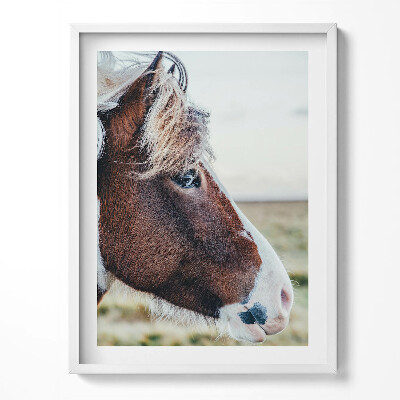 Obraz v rámu Detail hnědého koně s hřívou
