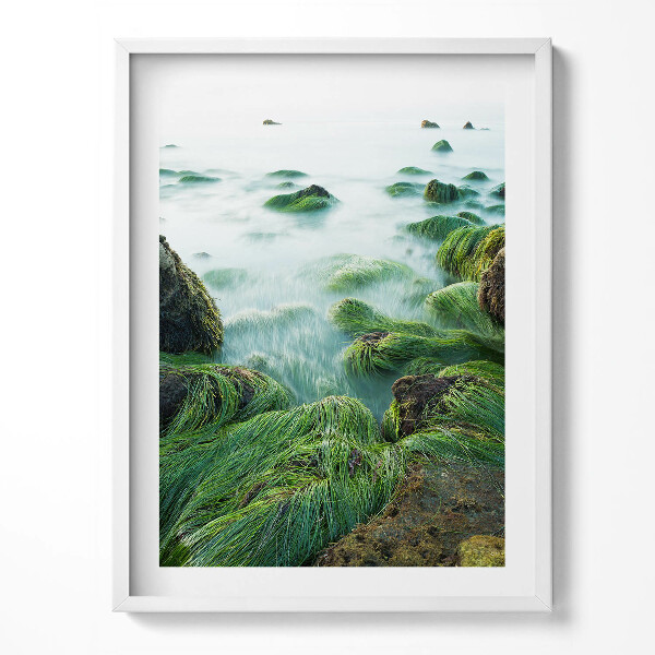 Obraz v rámu Tráva na břehu řeky