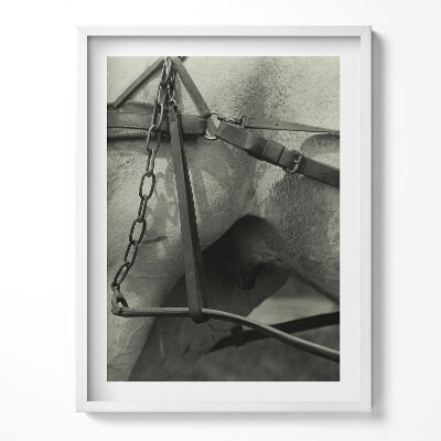 Obraz v rámu Detailní záběr na koňský postroj