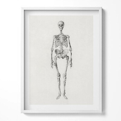 Obraz v rámu Načrtněte obrázek kostry