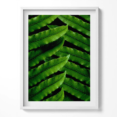 Obraz v rámu Detailní záběr na zelené listy