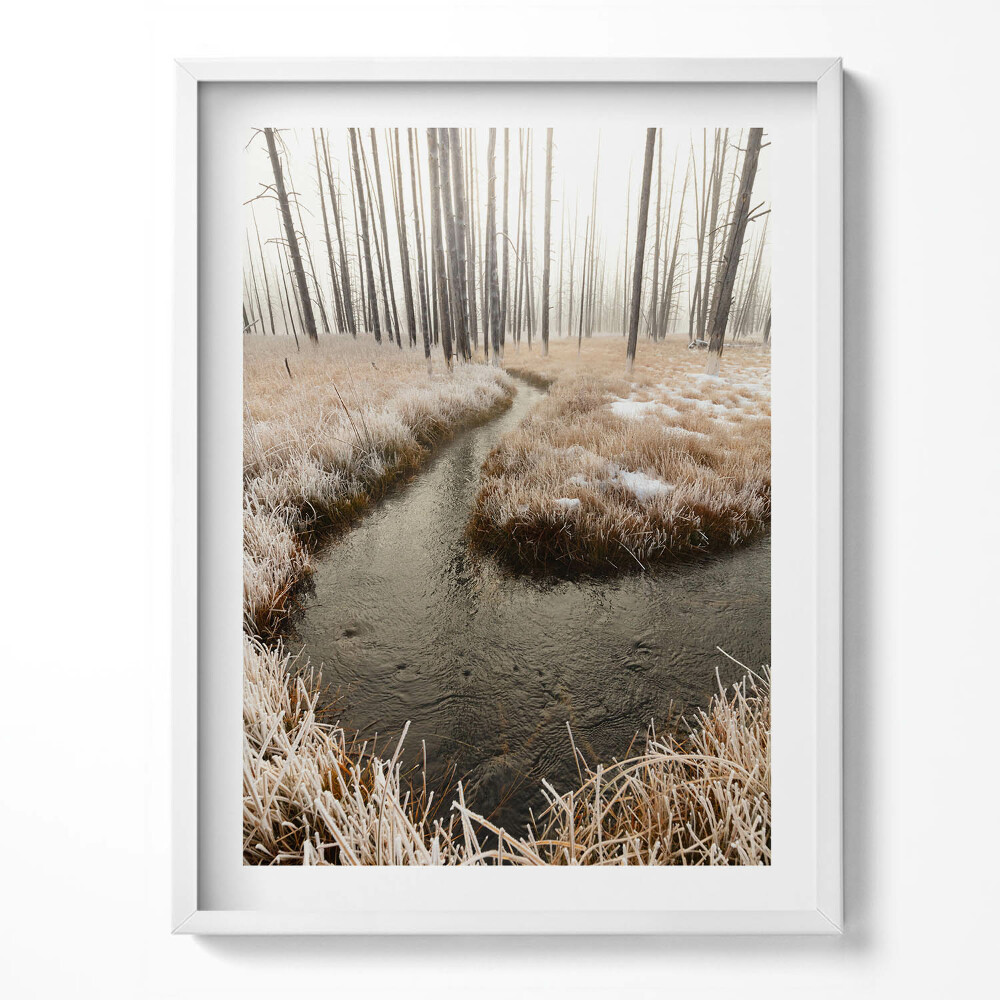 Obraz v rámu Řeka v lese v zimě