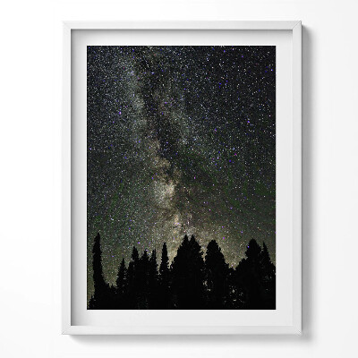 Obraz v rámu Hvězdná obloha nad lesem
