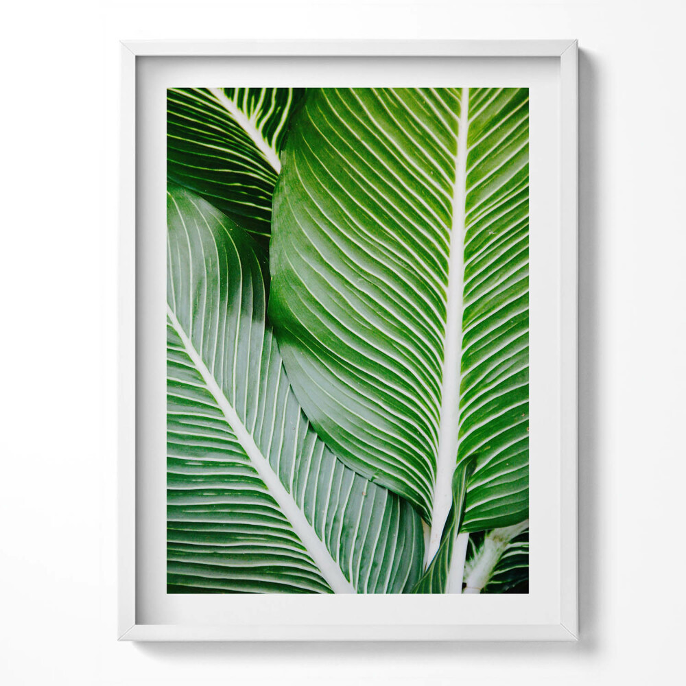 Obraz v rámu Exotické zelené listy