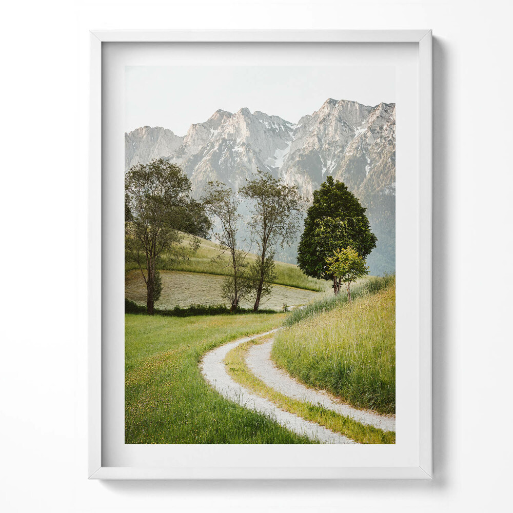 Obraz v rámu Polní pes v horách