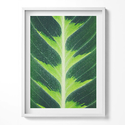 Obraz v rámu Textura listů a žilky