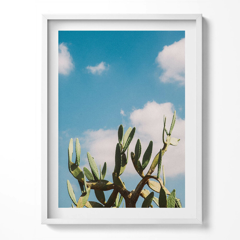 Obraz v rámu Kaktus proti obloze
