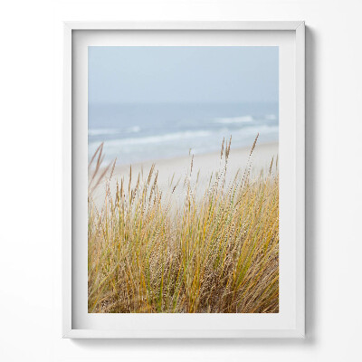 Obraz v rámu Krajina přímořské pláže a trávy