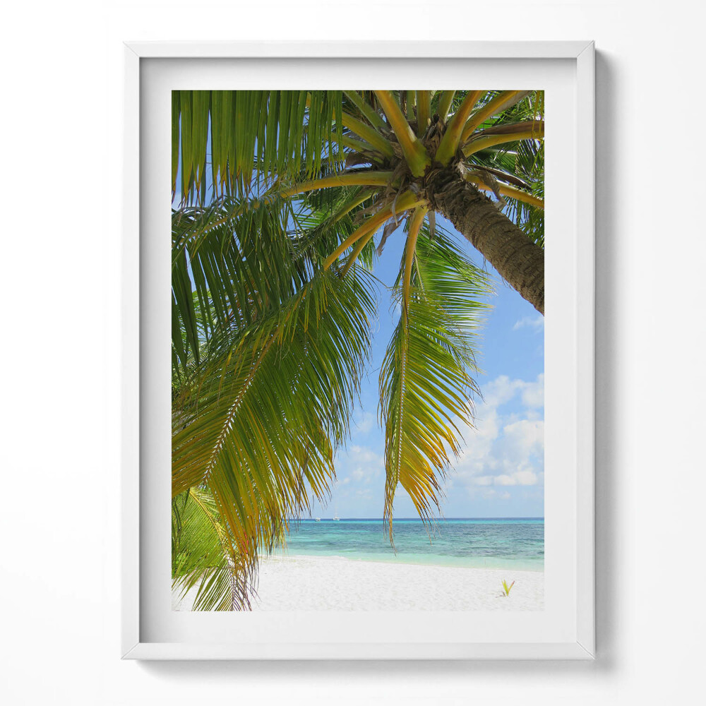 Obraz v rámu Pláž palmový oceán dovolená