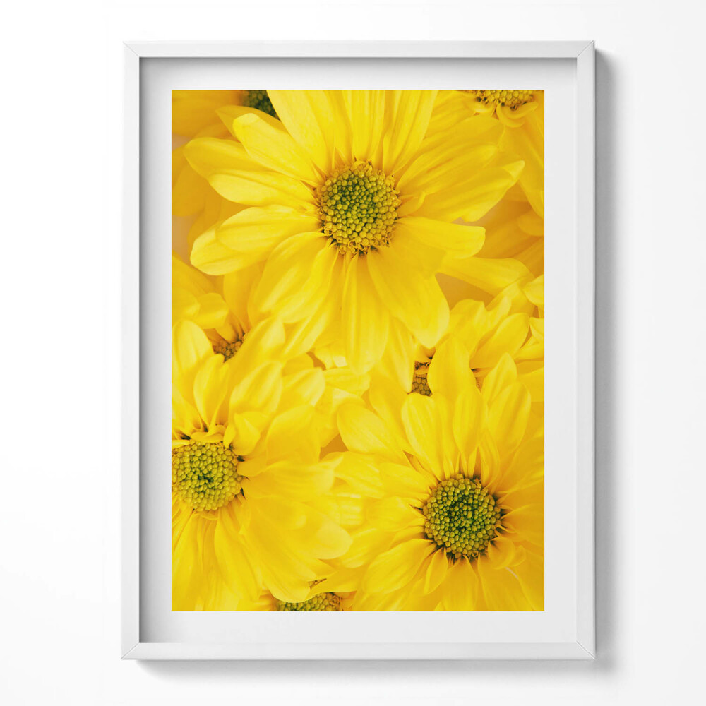 Obraz v rámu Okvětní lístky