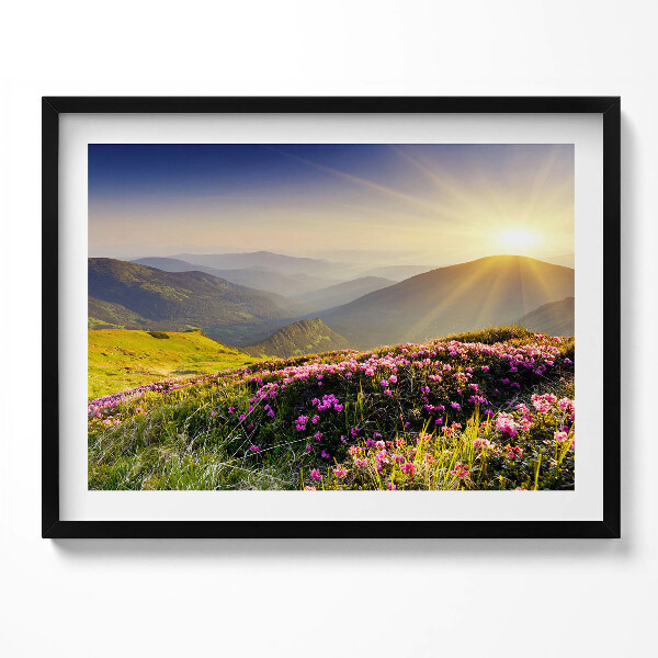 Obraz s rámem Hory a květinová louka