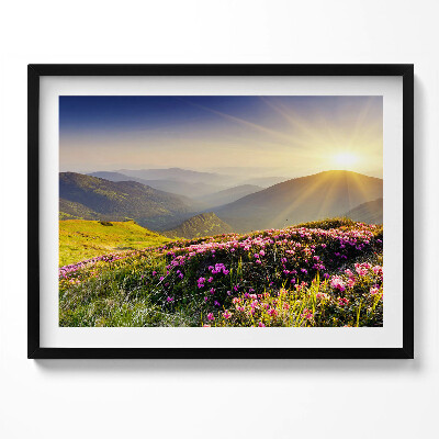 Obraz s rámem Hory a květinová louka