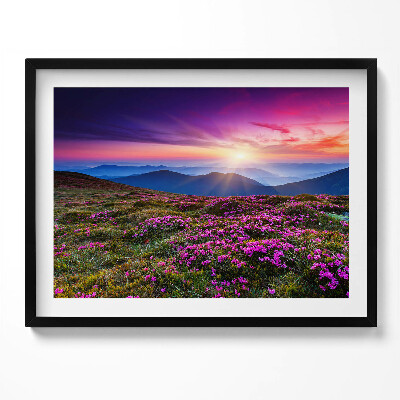 Obraz s rámem Východ slunce květiny