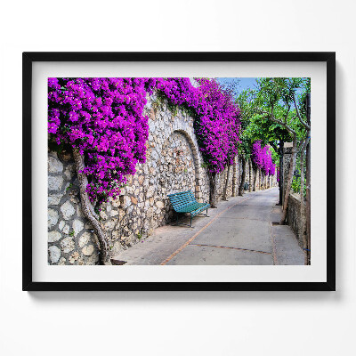 Obraz s rámem Cesta s květinami v Capri, Itálie